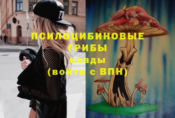 герыч Горняк