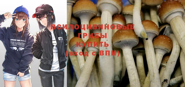 МДПВ Абдулино