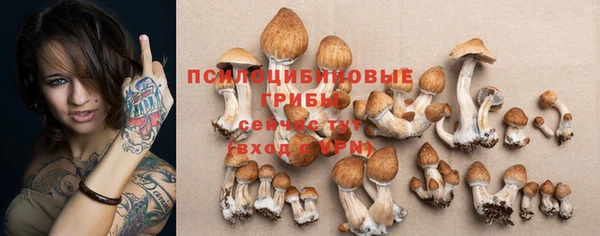 МДПВ Абдулино