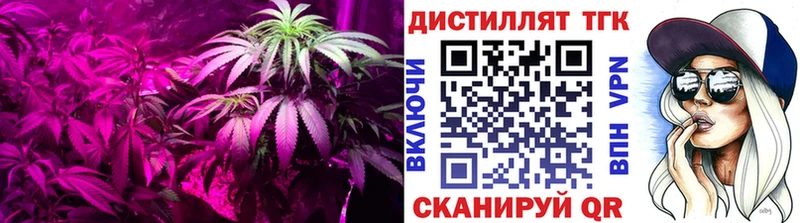 магазин наркотиков Кизляр ТГК концентрат